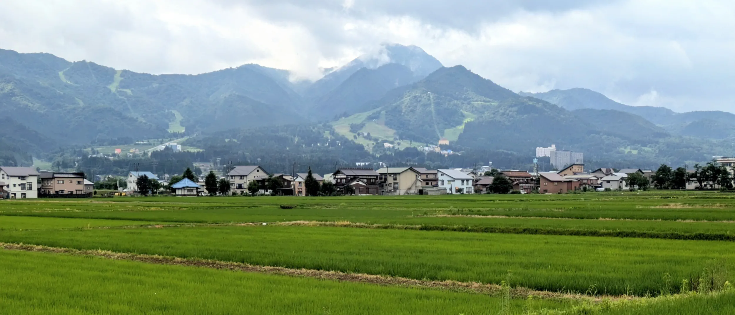 Rice fields and mountains view in Niigata