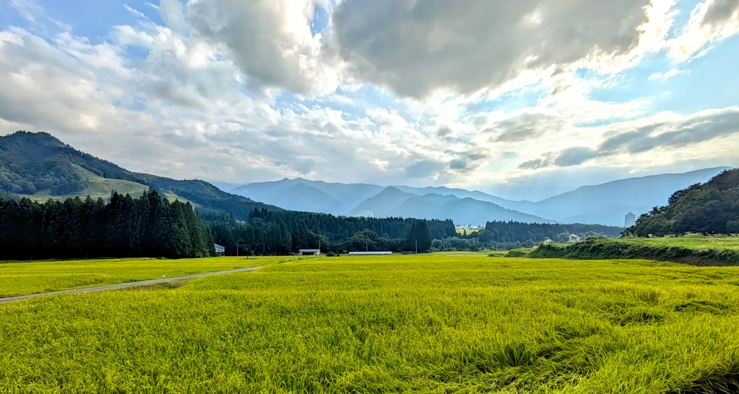 gallery/05-daigenta-ebike-tour-rice-terraces.webp