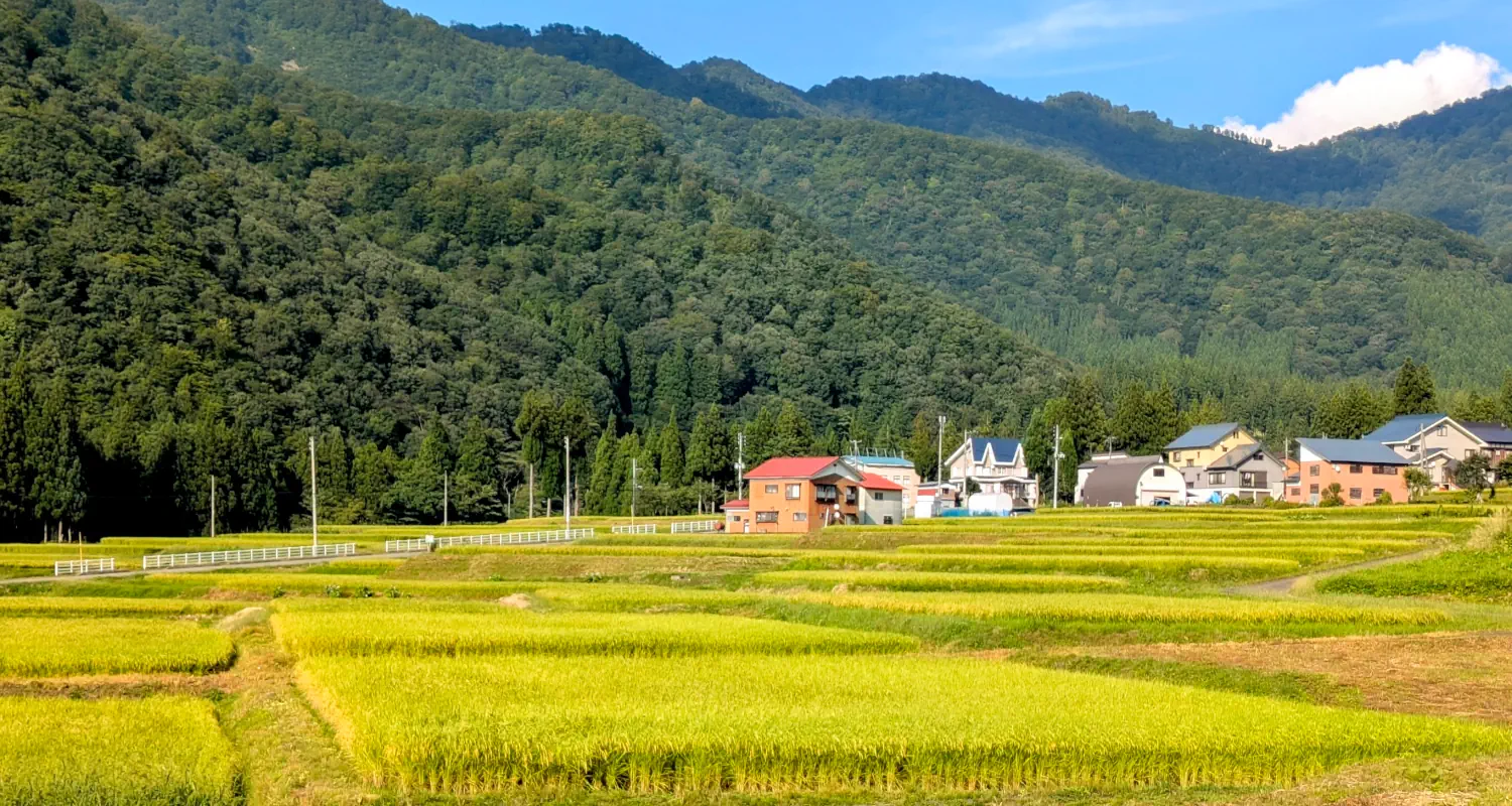 gallery/09-daigenta-ebike-rice-paddies-yuzawa.webp