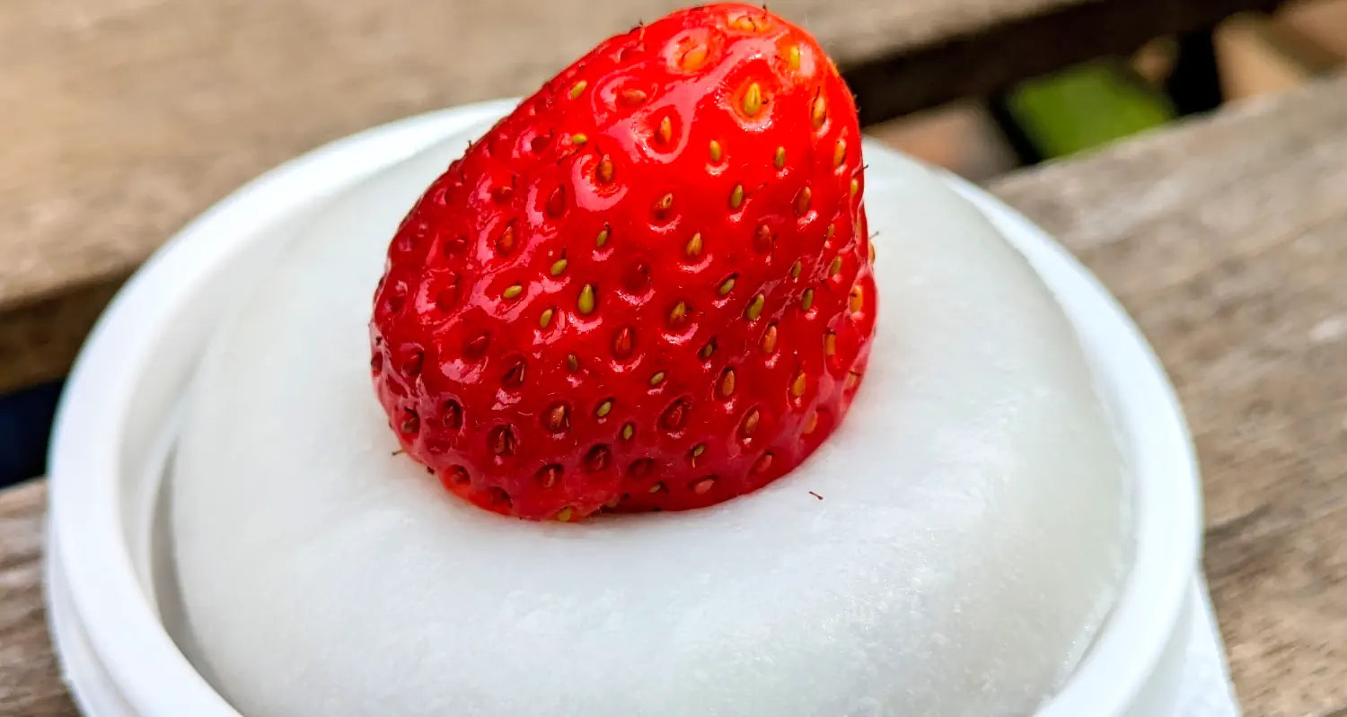 gallery/08-hakkaisan-ebike-tour-strawberry-munchi.webp