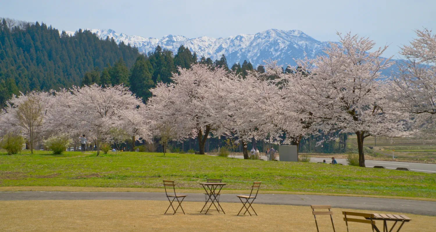 gallery/09-hakkaisan-ebike-tour-sakura.webp